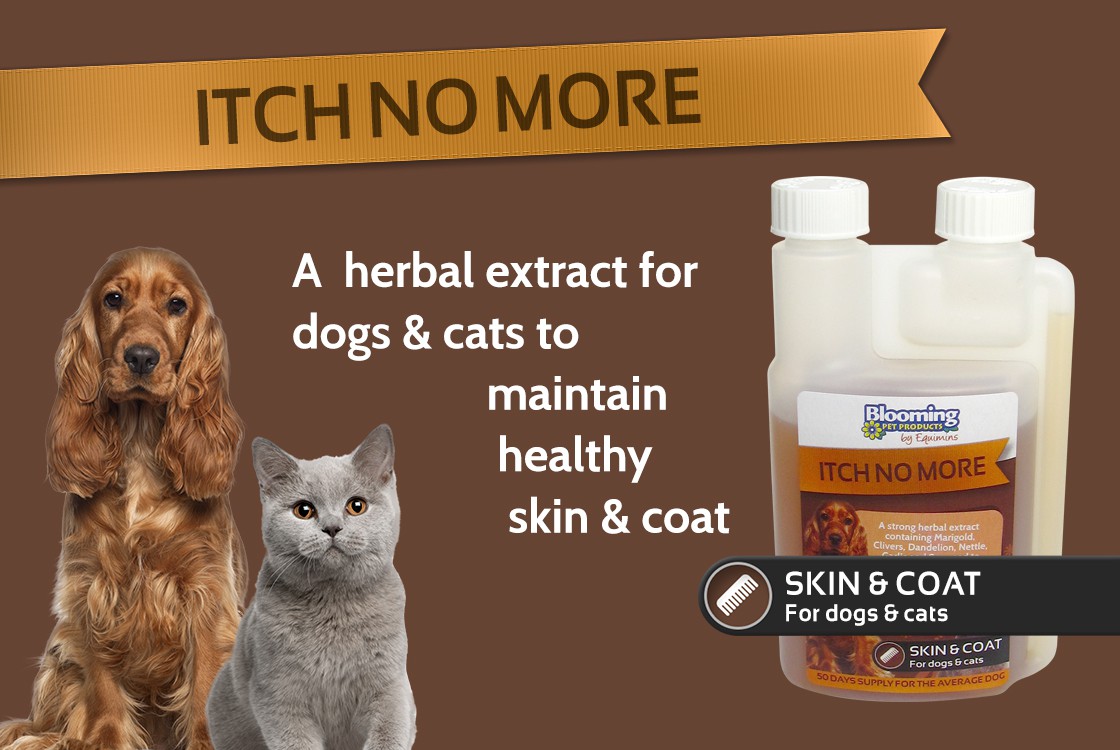 Itch No More by Blooming Pets